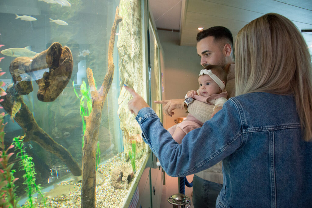 Eine Familie beobachtet die Fische im Aquarium. Der Vater hält das Baby im Arm, während die Mutter auf die Fische zeigt.