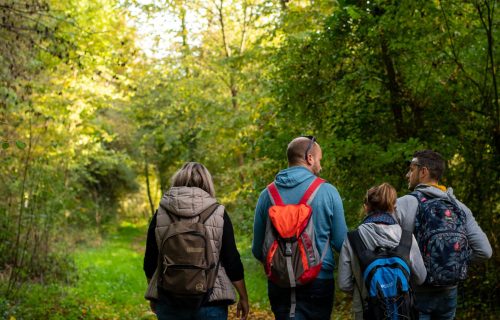 Vier Freunde spazieren im Wald